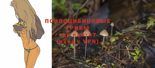 MESCALINE Пестово