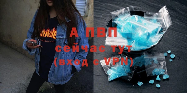 прущая мука Пересвет