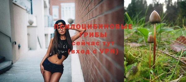 прущая мука Пересвет
