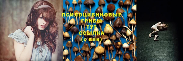 прущая мука Пересвет