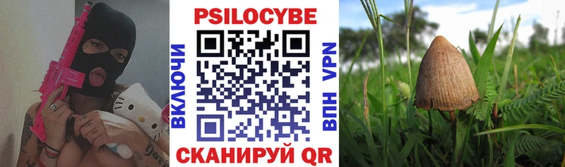 Галлюциногенные грибы Psilocybine cubensis  mega как войти  Новосибирск 