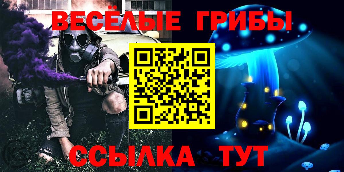 Галлюциногенные грибы прущие грибы Новосибирск
