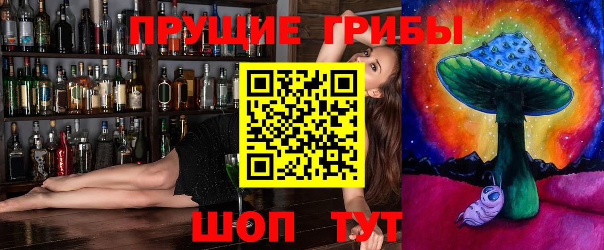 Галлюциногенные грибы Psilocybine cubensis  наркошоп  Новосибирск 