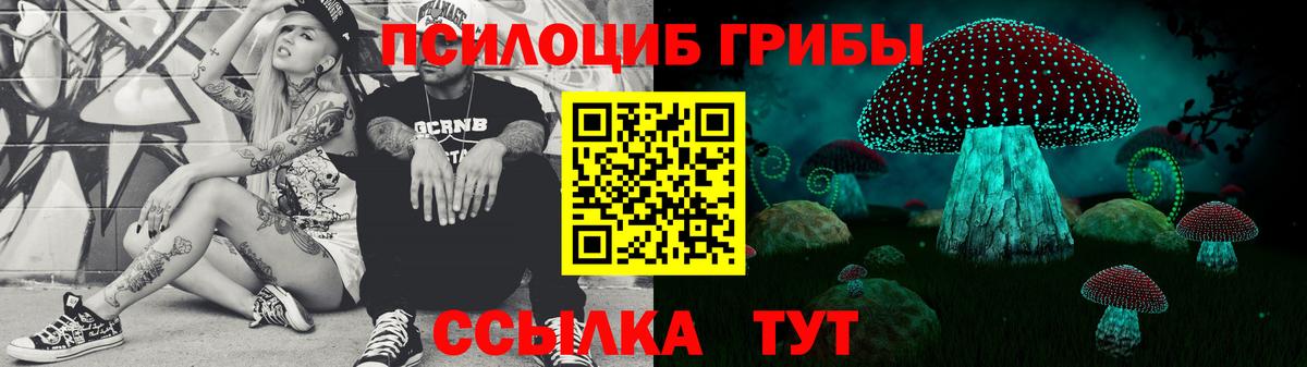 Новосибирск  Псилоцибиновые грибы MAGIC MUSHROOMS  Псилоцибиновые грибы Psilocybe  Вход с VPN 