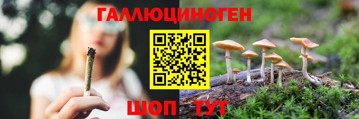 Псилоцибиновые грибы GOLDEN TEACHER Новосибирск
