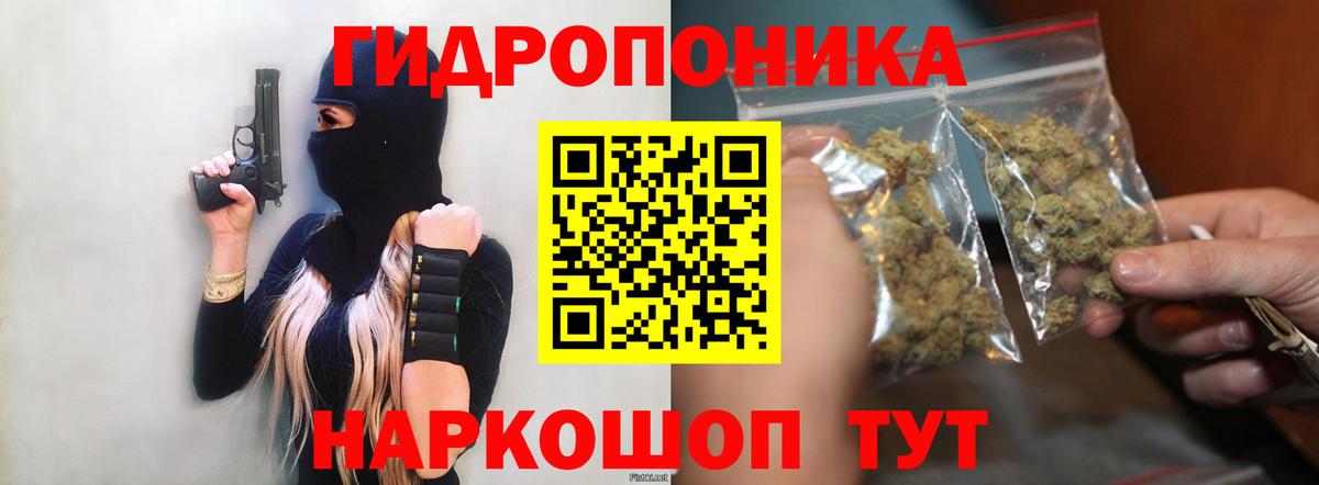 Канабис AK-47  Вход с VPN  Бошки Шишки ГИДРОПОН  Новосибирск  Канабис гибрид 